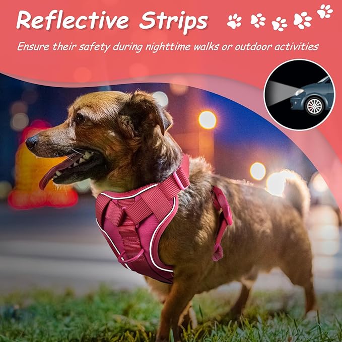 AUROTH Dog Harness Small Sized Dog, Small No Pull Dog Harness, Dog Harness for Small Dogs, Harness Small Size Dog Vest Harness with Handle, Rose Red S