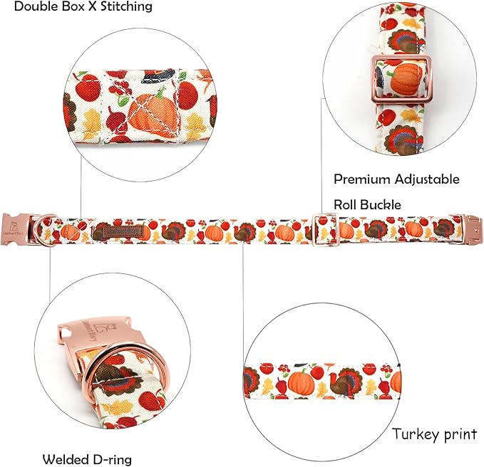 Lionheart glory Turkey Dog Collar Thanksgiving Dog Collar Girl or Boy Dogs Collar Pet Gift Holiday Dog Collar for Small Dog