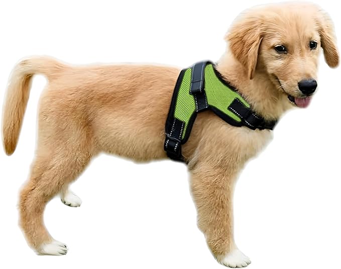 No Pull Reflective Adjustable Dog Harness With Handle- Comfortable Soft All Weather Mesh, Easy On Puppy Harness For Small Medium and Large Dogs (Green) X-Large