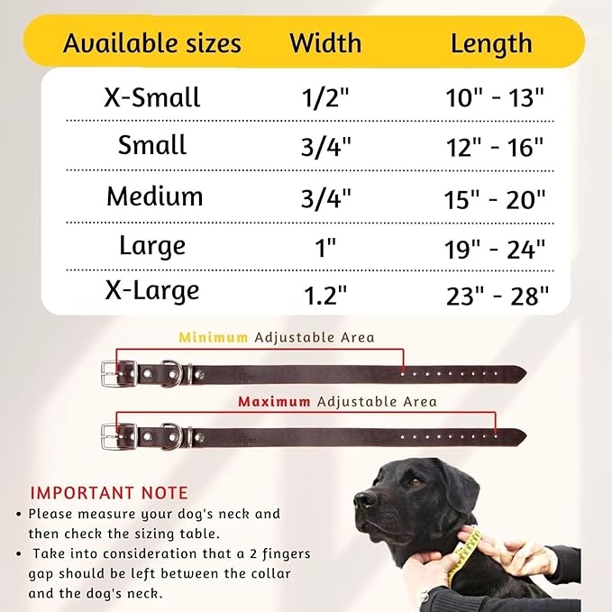 Adityna - Leather Dog Collar for Extra-Small Dogs and Puppies - Classic Style, Soft and Strong, Heavy Duty Leather Dog Collars for XSmall Dogs (XS - Neck: 10-13 inches, Brown)
