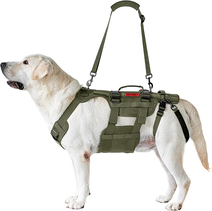 OneTigris Dog Lift Harness for Large Dogs, Dog Hip Support Brace, Full Body Dog Lifter with Handles Invictus Multifunctional Mobility Assistance Vest for Back Legs (Green, Small)