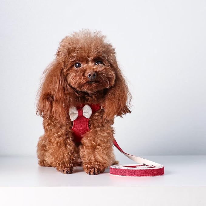 Beirui Small Dog Harness and Leash Set, Soft Lightweight Puppy Harness, Adjustable Bow Tie Puppy Harness for Small Dogs (Red, XS)