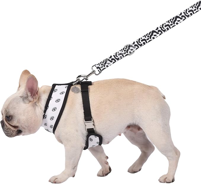 Now House for Pets by Jonathan Adler Pets Reversible Harness - Stylish, Fashionable, and Functional - Cute Dog Accessories for Pets, Cute Dog Harness, Dog Walking Harness, Pet Harness for Dogs