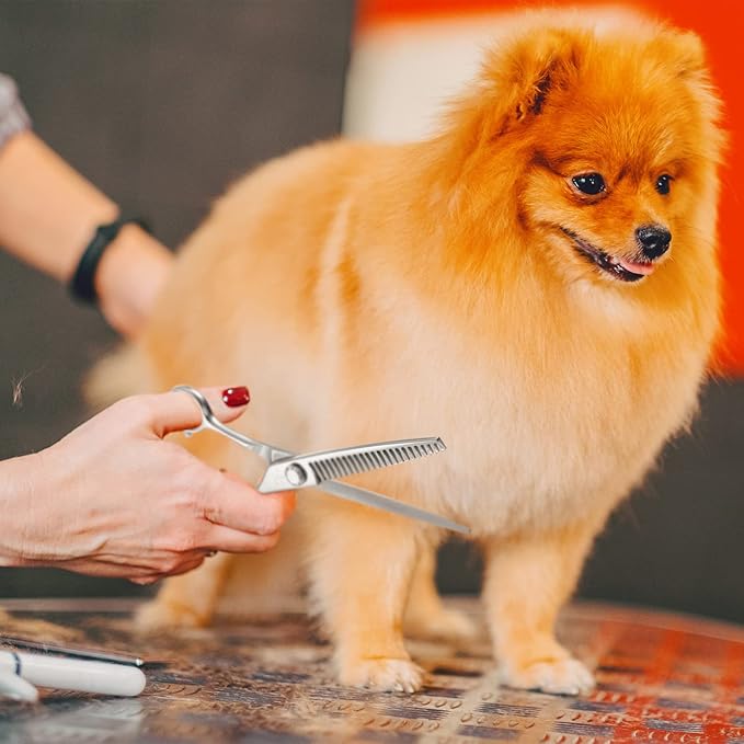 High-end Professional Dog Grooming Thinning Scissors Teeth Blending Shears Pet Texturizing Thinner Blender Shears 7 Inch Extremely Sharp Stainless Steel Alloy For Cat Horse And Other Animals