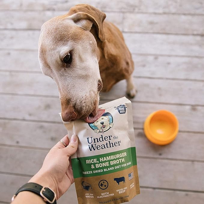 Under the Weather Bland Diet for Dogs | Easy to Digest for Sick Dogs | Always Be Ready | Contains Electrolytes - Natural Freeze Dried 100% Human Grade Meats| 2 Pack- Rice, Hamburger & Bone Broth - 6oz