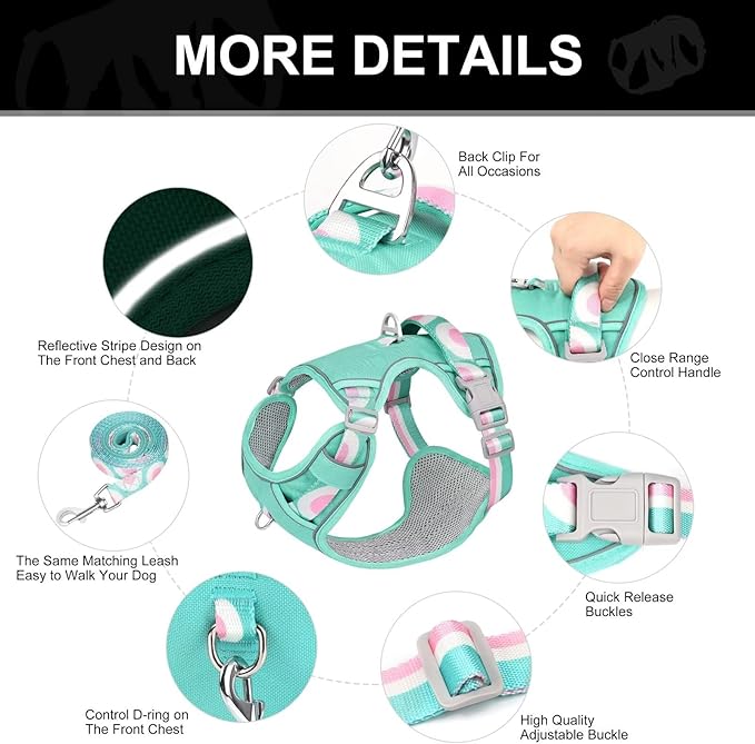 No Pull Dog Harness and Leash Set,Reflective Dog Harness with Easy Control Soft Handle,Adjustable and Comfortable for Easy Walking,Fit Small Medium Large Breed Dogs,Blue,L