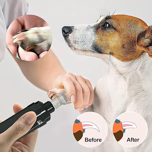 Diamond Dog Nail Grinder Bits - FOCSTOL Diamond Rotory Bit for Dogs&Pets, 5pcs 1/8'' Rotary Nail Grinder Bits for Animals Nail Care (Type C)