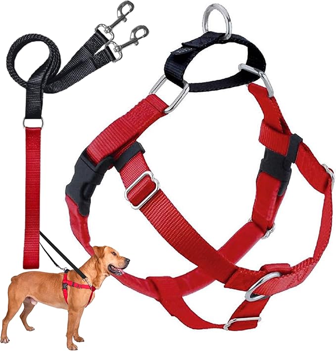2 Hounds Design Freedom No Pull Dog Harness | Comfortable Control for Easy Walking |Adjustable Dog Harness and Leash Set | Small, Medium & Large Dogs | Made in USA | Solid Colors | 5/8" MD Red