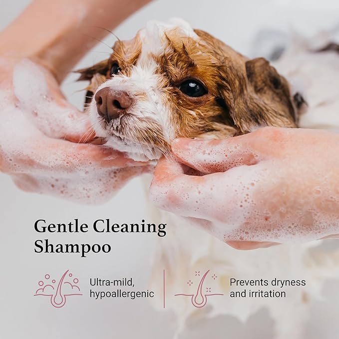 iGroom Tearless Facial Dog Shampoo, Luxury Pet Beauty Care, Ultra Mild to Eyes, Restore Skins Natural Moisture, Made in USA, Gallon