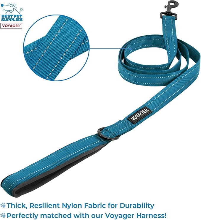 Voyager Step-in Lock Adjustable Cat Harness w. Cat Leash Combo Set with Neoprene Handle 5ft - Supports Small, Medium and Large Breed Cats by Best Pet Supplies - Turquoise/Black Trim, XXXS