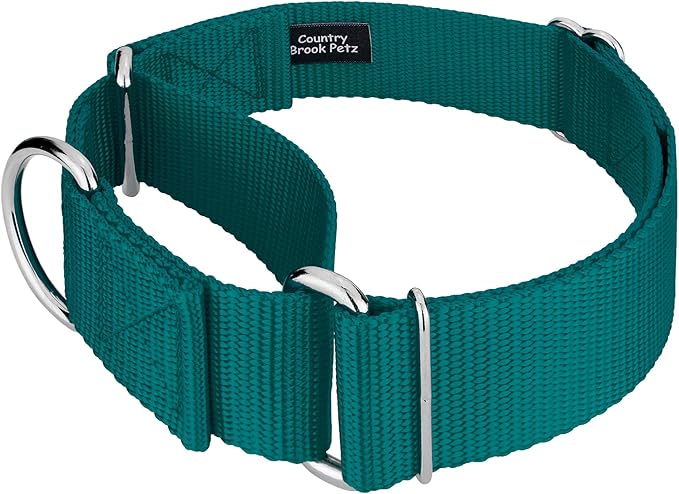 Country Brook Petz 1 1/2 Inch Martingale Heavy Duty Nylon Adjustable Dog Collar for Small, Medium, Large Breeds - Vibrant 17 Color Selection (Teal, Large)