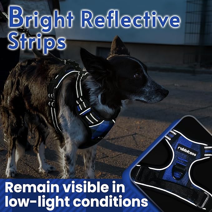 rabbitgoo Dog Harness Medium Sized Dog No Pull, Comfortable Padded Plaid Dog Harness with Handle Easy Control, Adjustable Reflective Puppy Pet Harness Vest with 2 Leash Clips, Blue Plaid, M