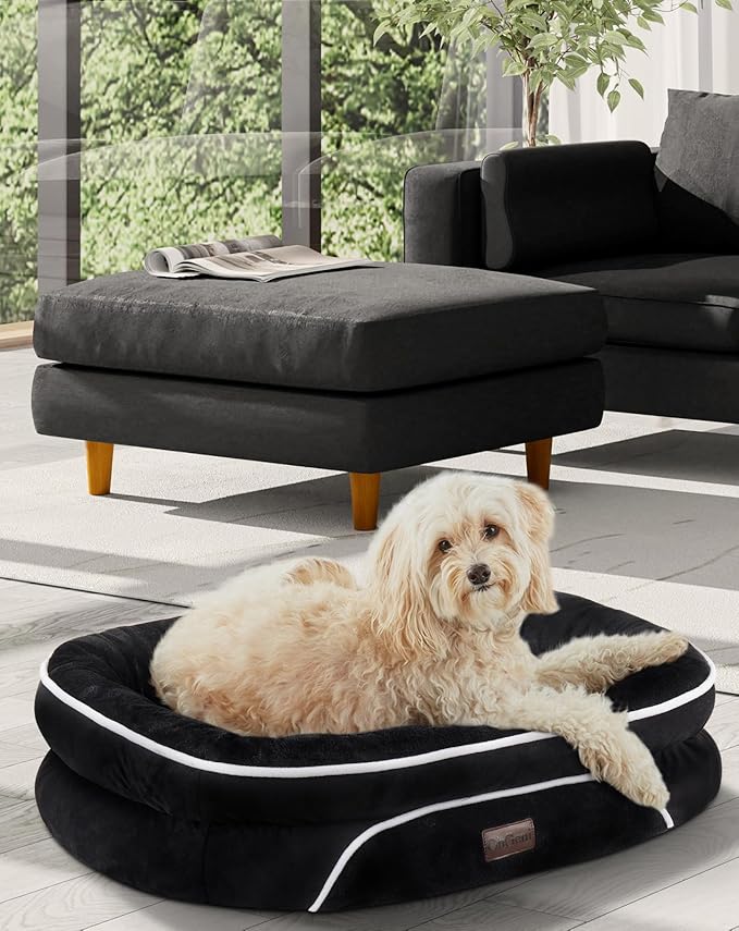OhGeni Orthopedic Dog Bed for Medium Dogs, Dog Couch Design with Egg Foam Support, Removable, Washable Plush Cover and Non-Slip Bottom with Four Sided Bolster Cushion (Black)