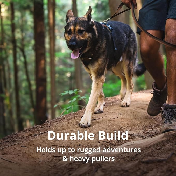 Ruffwear, Front Range Dog Harness, Reflective and Padded, No Pull Harness for Training and Everyday, Moonlight Mountains, Medium