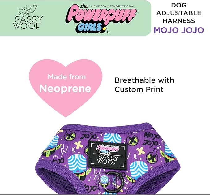 Dog Adjustable Harness - Mojo JoJo™ - S, Breathable Mesh, No Pull Design with Two D-Rings, Perfect for Small Dogs and Puppies