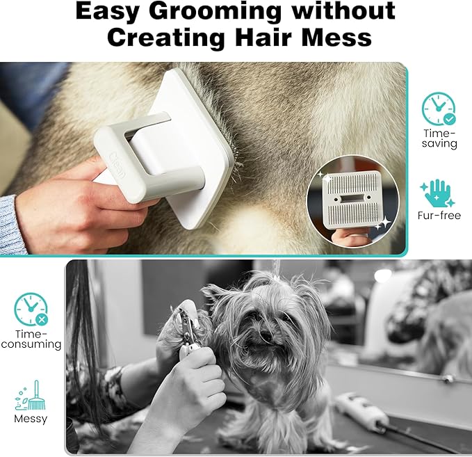 Dog Hair Vacuum & Dog Grooming Vacuum, 12000Pa Strong Pet Grooming Vacuum, 2L Large Capacity Dog Vacuum for Shedding Grooming, Pet Hair Grooming Trimming, Quiet, 5 Pet Grooming Tools