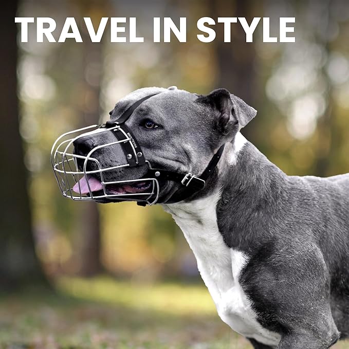 BRONZEDOG Pitbull Dog Muzzle Metal Mask Amstaff Wire Basket Pit Bull Adjustable Leather Straps for Large Dogs (Steel)