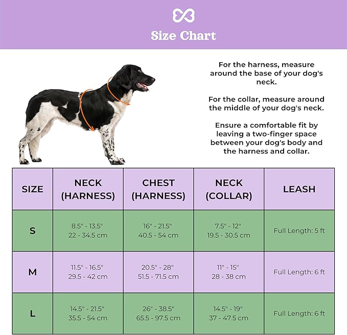 Dog Harness and Leash Set | BearBone No Pull Dog Harness and Waterproof Dog Collar and Leash Set | Heavy Duty Dog Harness, Leash and Collar | Small Dog Harness and Leash Set (Lilac, Small)