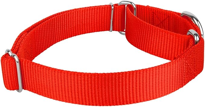 Country Brook Petz 1 1/2 Inch Martingale Heavy Duty Nylon Adjustable Dog Collar for Small, Medium, Large Breeds - Vibrant 17 Color Selection (Hot Orange, Extra Large)