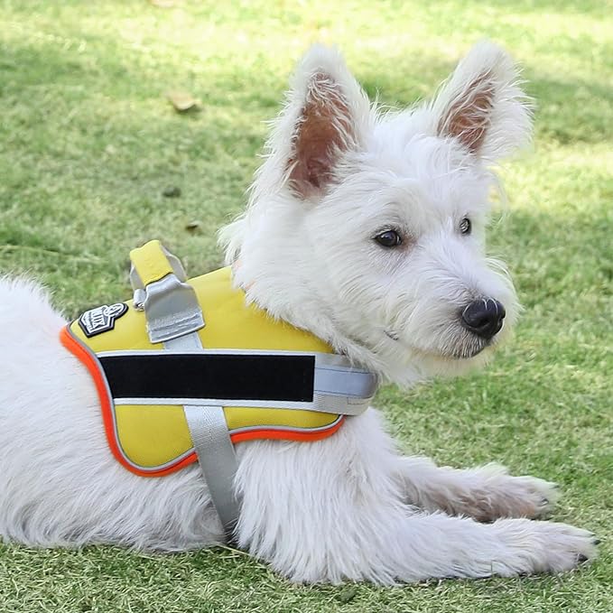 Bolux Dog Harness, No-Pull Reflective Dog Vest, Breathable Adjustable Pet Harness with Handle for Outdoor Walking - No More Pulling, Tugging or Choking (X-Small (Pack of 1), YellowOrange)