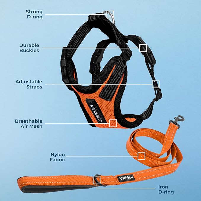 Voyager Step-in Lock Dog Harness w Reflective Dog Leash Combo Set with Neoprene Handle 5ft - Supports Small, Medium and Large Breed Puppies/Cats by Best Pet Supplies - Orange/Black Trim, S