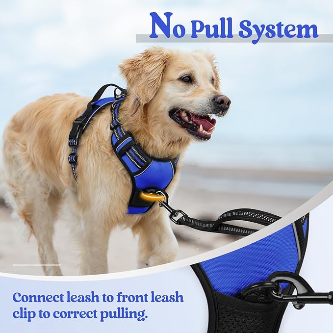 rabbitgoo Dog Harness, No-Pull Pet Harness with 2 Leash Clips, Adjustable Soft Padded Dog Vest, Reflective No-Choke Pet Oxford Vest with Easy Control Handle for Large Dogs, Dazzling Blue, XL
