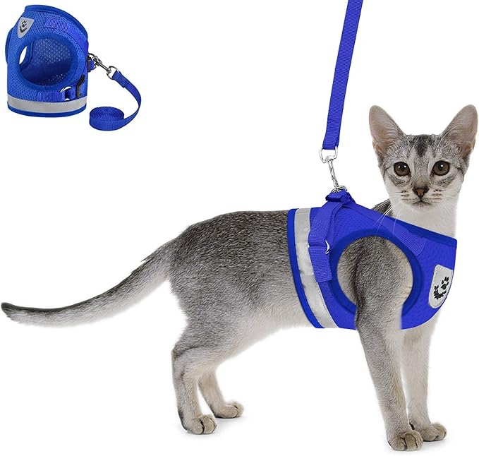 Cat Harnesses for Small Dogs - Cat Harnesses and Leashes for Walking, Adjustable Reflective Step in Dog Harness for Small Dog and Cat(Blue, S (11.8” – 13.3”)