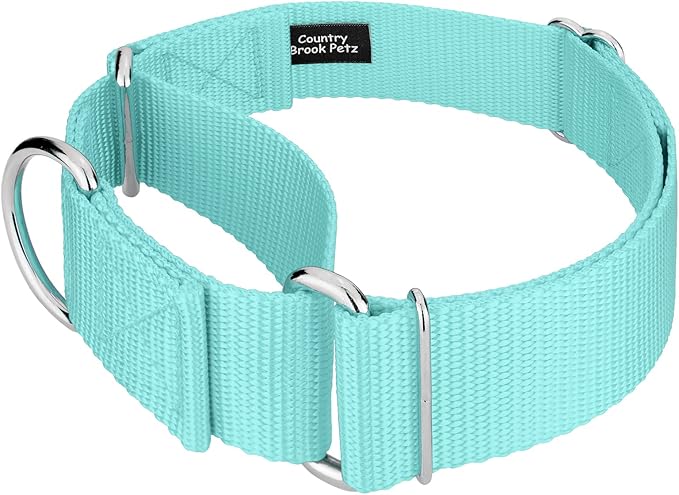 Country Brook Petz 1 1/2 Inch Martingale Heavy Duty Nylon Adjustable Dog Collar for Small, Medium, Large Breeds - Vibrant 17 Color Selection (Light Cyan, Large)