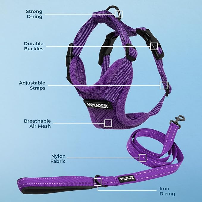 Voyager Step-in Lock Dog Harness w Reflective Dog Leash Combo Set with Neoprene Handle 5ft - Supports Small, Medium and Large Breed Puppies/Cats by Best Pet Supplies - Purple, XL