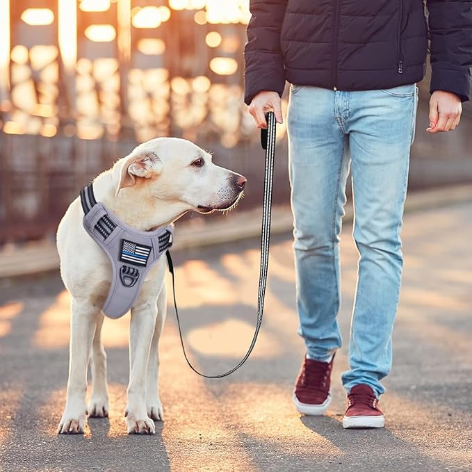 BUMBIN Dog Harness, Tactical Harness for Large Dogs, XS Grey, No Pull with Dog Leash, Adjustable Reflective Pet Walking Vest, MOLLE System, Casual & Style