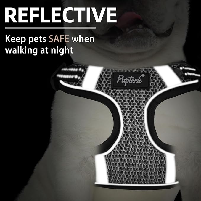 PUPTECK No Pull Dog Harness and Leash Set Reflective No Choke Step in Puppy Halter for XS Small and Medium Sized Dogs, Grey, Breathable Mesh, S