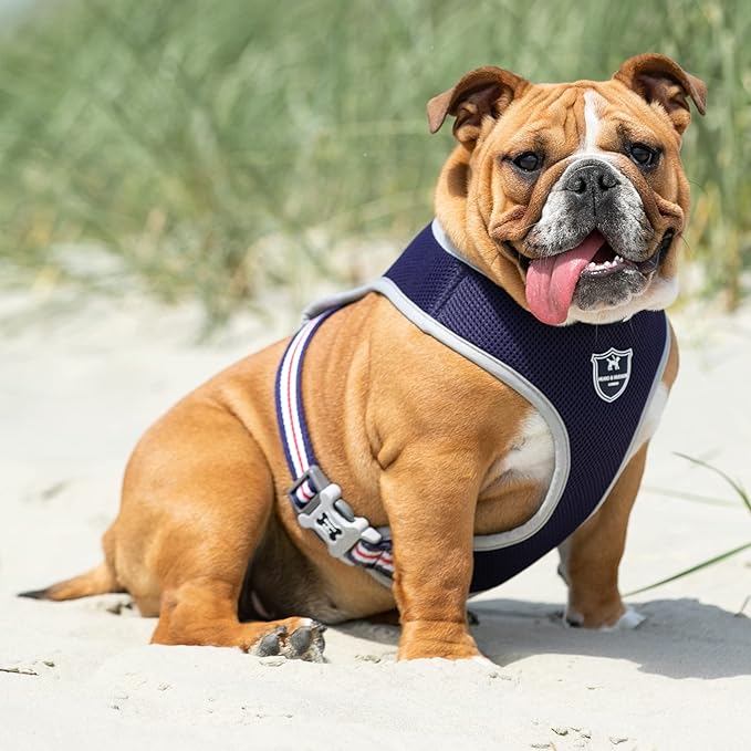 HUGO & HUDSON Dog Harness No-Pull Pet Harness Adjustable Quick Dry Mesh Padded Vest, Navy, L