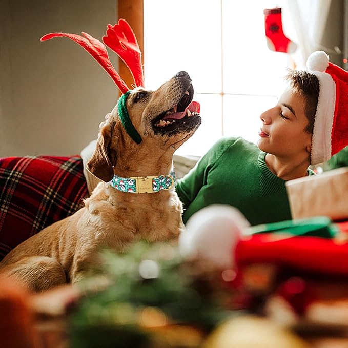 Christmas Dog Collars for Large Dog,Green Santa Claus Dog Collar with Safety Metal Buckle Adjustable Puppy Collars for Small Medium Dog,Boy&Girl&Male&Female Dog Gift,L-16-24"
