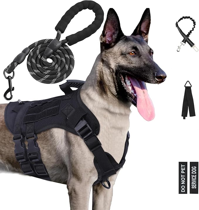 No Pull Tactical Dog Harness for Small Dogs, Escape Proof Molle Dog Vest Harness and Leash Set, Adjustable Military Service Dog Harness with Handle for Medium Large Dogs(Black, Small)