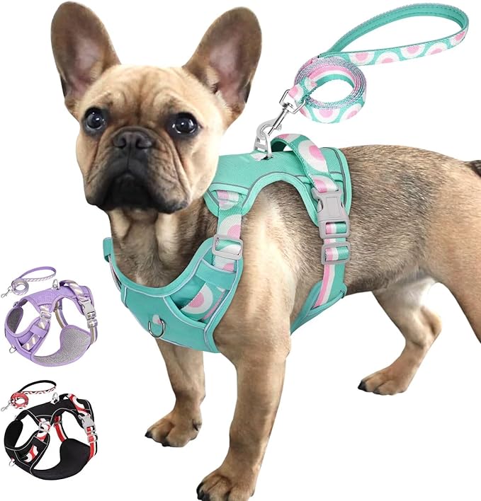 No Pull Dog Harness and Leash Set,Reflective Dog Harness with Easy Control Soft Handle,Adjustable and Comfortable for Easy Walking,Fit Small Medium Large Breed Dogs,Blue,S