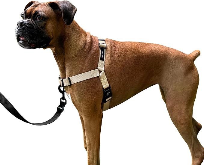 ShawnCo Dream Walk No-Pull Dog Harness- Adjustable, Comfortable, Easy to Use Pet Halter to Help Stop Pulling for Small, Medium and Large Dogs (Driftwood, S)