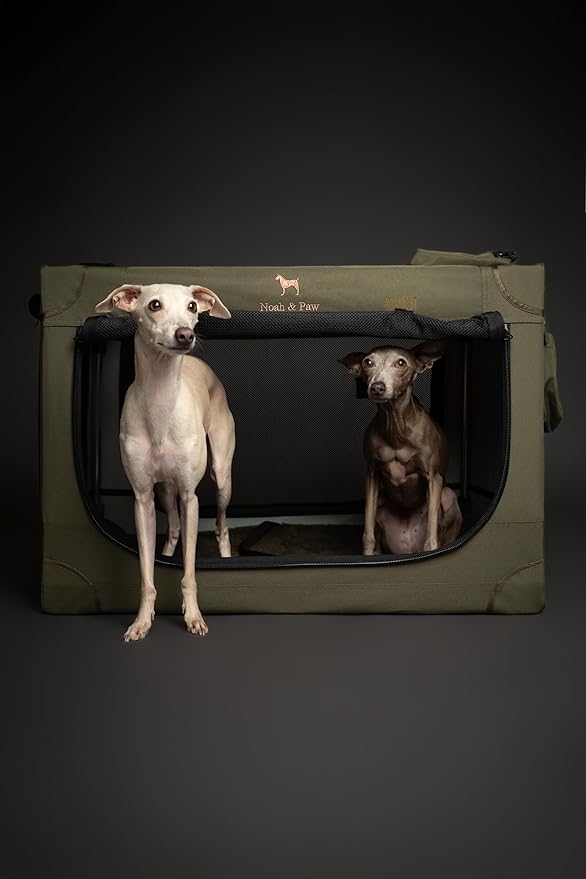 Noah & Paw Collapsible Dog Crate 30 Inches, Large Dog Crate for Large Medium Breeds, Travel Kennel for Car, Including Pet Mat for Pet Cage, 2 Storage Pockets, Handbag, 10mm Locking Zipper 30*21*21