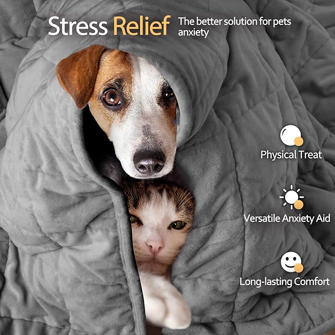 LaSyL Weighted Blanket for Pets | Thunder Blanket for Dogs Anxiety | Premium Soft Minky | Relaxation & Calming & Anti Anxiety | Used in Car, Bed, Couch | Dark Grey, Washable Small 32" L x 24" W