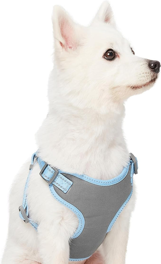 Blueberry Pet Essentials Pastel Color Reflective Dog Harness Vest, Chest Girth 17.5" - 21", Baby Blue, Small, Adjustable Harnesses for Dogs
