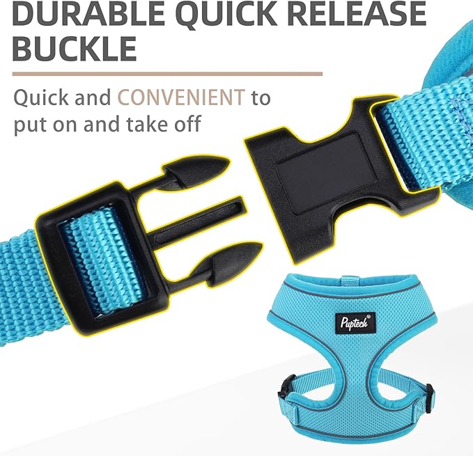 PUPTECK Soft Mesh Dog Harness and Leash Set Pet Puppy Cat Comfort Padded Vest No Pull Harnesses, Solid LightBlue, S