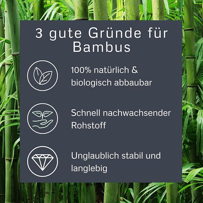 Palm Brush with Boar Bristles for Pets