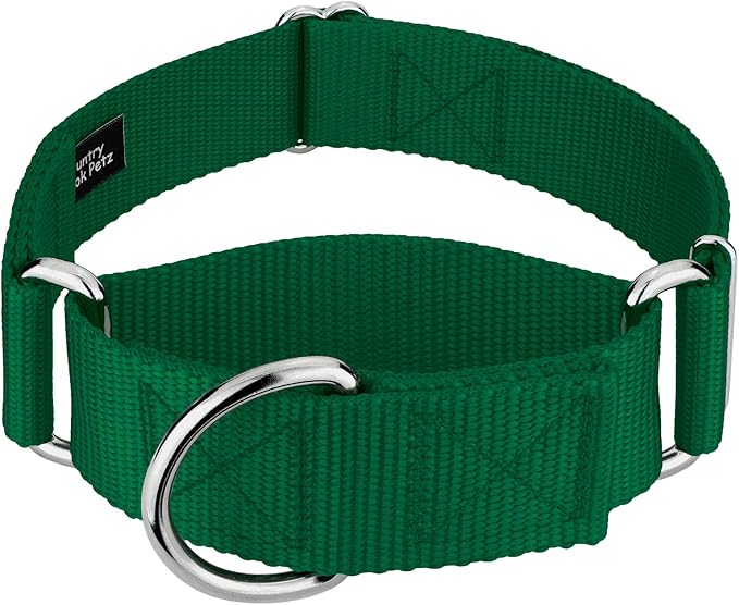 Country Brook Petz 1 1/2 Inch Martingale Heavy Duty Nylon Adjustable Dog Collar for Small, Medium, Large Breeds - Vibrant 17 Color Selection (Green, Extra Large)