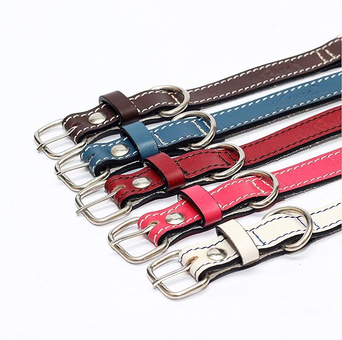 Premium Leather Collars with Stainless Steel Buckles (12"-15", Blue)