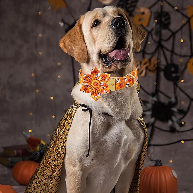 ARING PET Halloween Dog Collar-Cotton Pumpkin Dog Collar with Flower, Adjustable Halloween Themed Dog Collars Pet Necklace with Metal Buckle for Girl&Boy Dogs