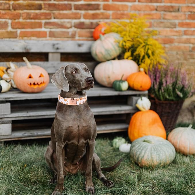 Lionheart glory Dog Collar Halloween Collar Dog Fall Dog Collars, Adjustable Heavy Duty Dog Collar for Small Dogs Pumpkin Collar Dog