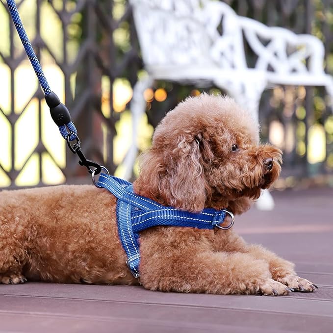 Plutus Pet No Pull Dog Harness with Breathable Mesh Padded, Adjustable Reflective Escape Proof Dog Harness, Quick Fit Dog Vest Harness for Small Medium Large Dogs(XXS, Navy Blue)