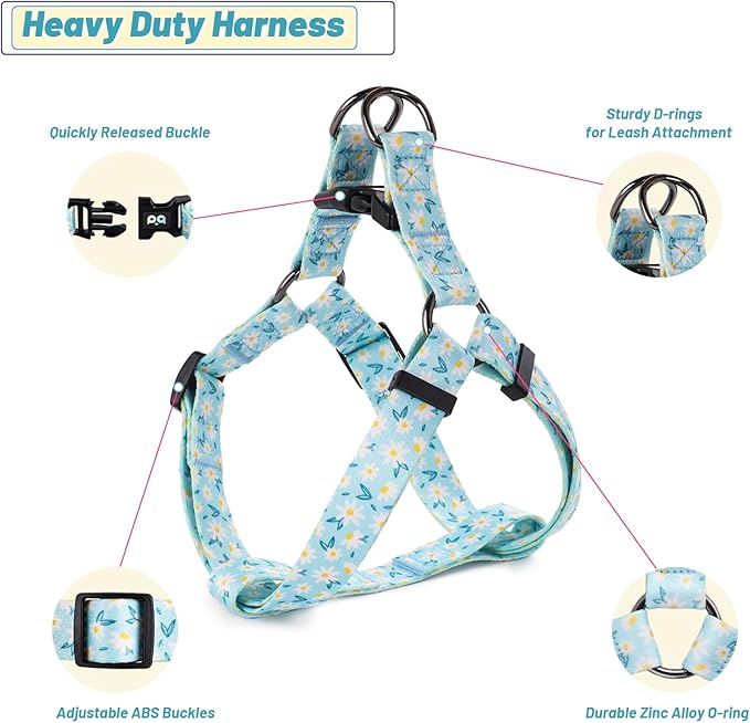 QQPETS Dog Harness Leash Set Adjustable Heavy Duty No Pull Halter Harnesses for Small Medium Large Breed Dogs Back Clip Anti-Twist Perfect for Walking