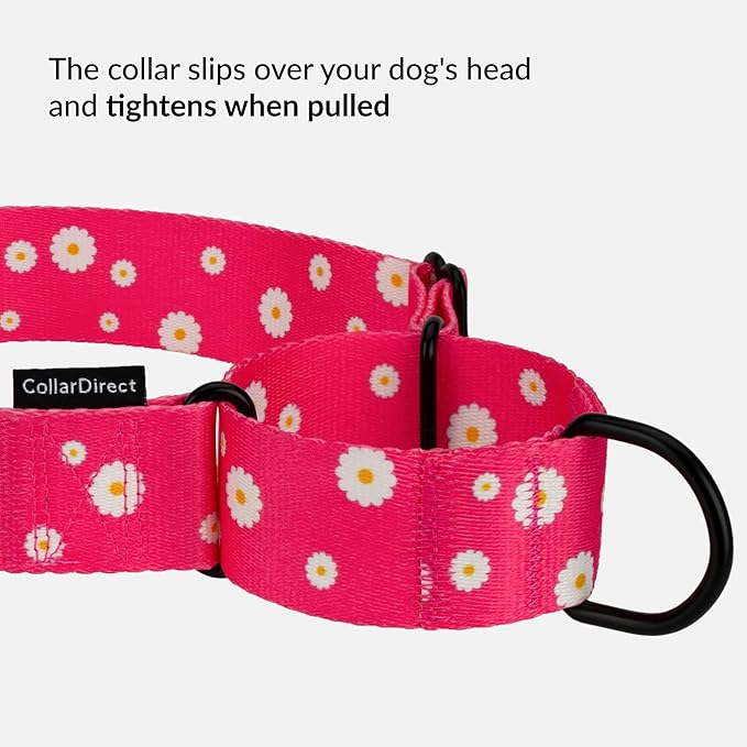 CollarDirect Martingale Collars for Dogs Heavy Duty Floral Pattern Female Safety Nylon Training Wide Collar Flower Design Large Medium (L, Neck Size 15"-20", Pink)