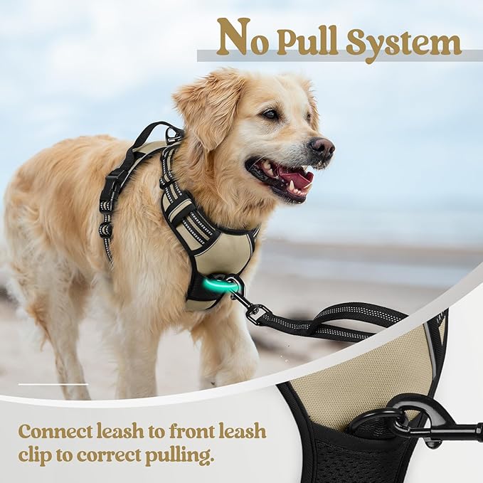 rabbitgoo Dog Harness, No-Pull Pet Harness with 2 Leash Clips, Adjustable Soft Padded Dog Vest, Reflective No-Choke Pet Oxford Vest with Easy Control Handle for Large Dogs, Beige, XL