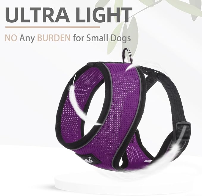 PUPTECK Soft Mesh Dog Harness and Leash Set Pet Puppy Cat Comfort Padded Vest No Pull Harnesses, Solid Purple, S